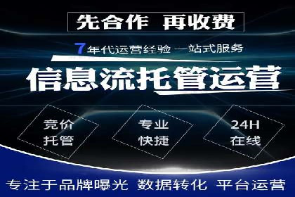 SEM搜索引擎优化：广告创意的策划与执行